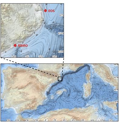 Two new coastal time-series of seawater carbonate system variables in the NW Mediterranean Sea: rates and mechanisms controlling pH changes